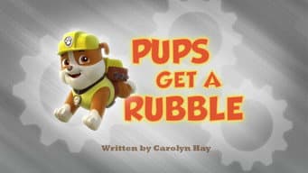 Os filhotes ganham um Rubble