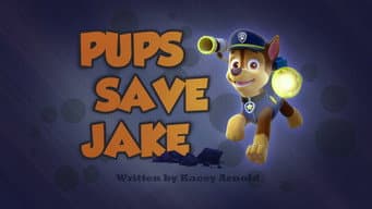 Os filhotes salvam o Jake