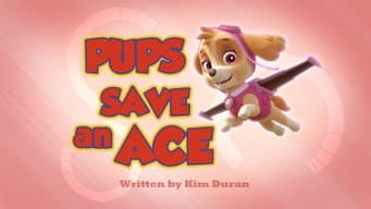 Os filhotes salvam a Ace