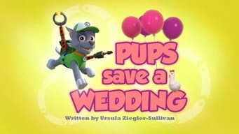 Os filhotes salvam um casamento