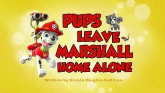 Os filhotes deixam o Marshall sozinho