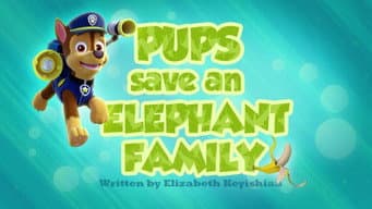 Os filhotes salvam uma família elefante