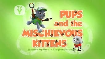 Os filhotes e os gatinhos levados