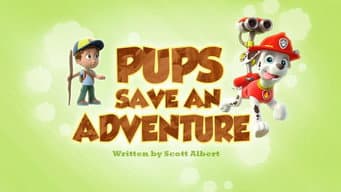 Os filhotes salvam uma aventura