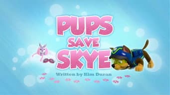 Os filhotes salvam a Skye