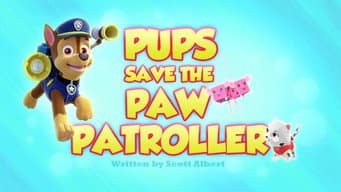 Os Filhotes Salvam o Patrulheiro Canino