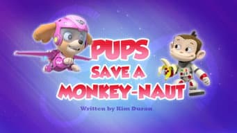 Os filhotes salvam um macaco-nauta