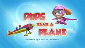 Os filhotes salvam um avião