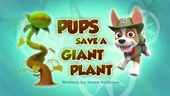 Filhotes salvam uma planta gigante