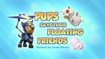 Filhotes salvam seus amigos flutuantes