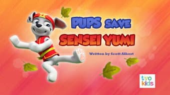 Os Filhotes Salvam a Sensei Yumi