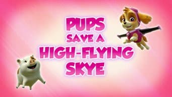 Os Filhotes Salvam uma Skye Voando Bem Alto
