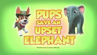 Os Filhotes Salvam um Elefante Irritado