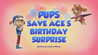 Os Filhotes Salvam o Aniversário Surpresa da Ace