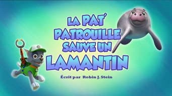 Os Filhotes Salvam um Peixe-boi