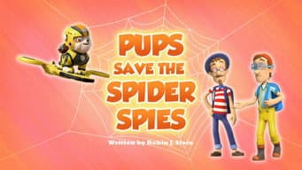 Os Filhotes Salvam os Espiões de Aranha