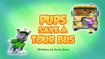 Os Filhotes Salvam um Ônibus de Turismo