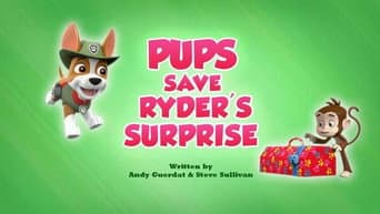 Os Filhotes Salvam a Surpresa de Ryder