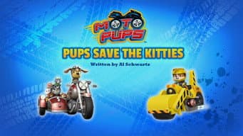 Moto Filhotes: Filhotes Salvam os Gatos