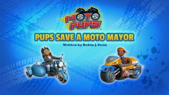 Moto Filhotes: Filhotes Salvam a Moto Prefeita