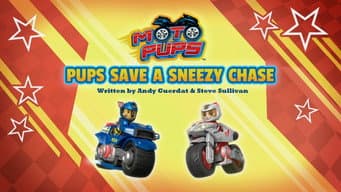 Moto Filhotes: Filhotes Salvam Chase com Alergia