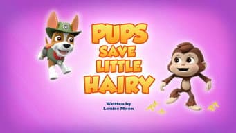 Os Filhotes Salvam o Pequeno Peludo
