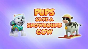 Os Filhotes Salvam a Vaca na Neve
