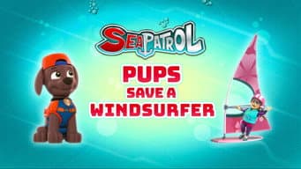 Patrulha do Mar: Os Filhotes Salvam o Windsurfista