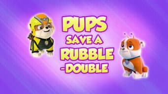 Os Filhotes Salvam o Rubble Duplo