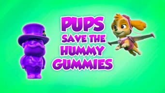 Os Filhotes Salvam as Balas Hummy