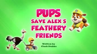 Os Filhotes Salvam os Amigos de Penas do Alex!