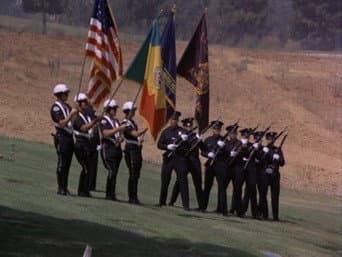 Episódio 8