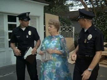 Episódio 13