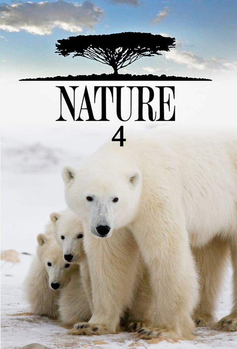 Temporada 4