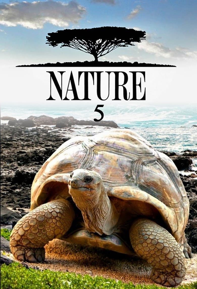 Temporada 5