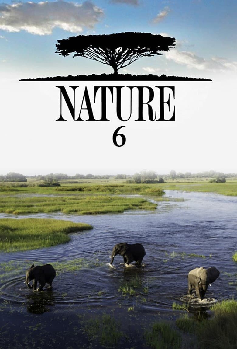 Temporada 6