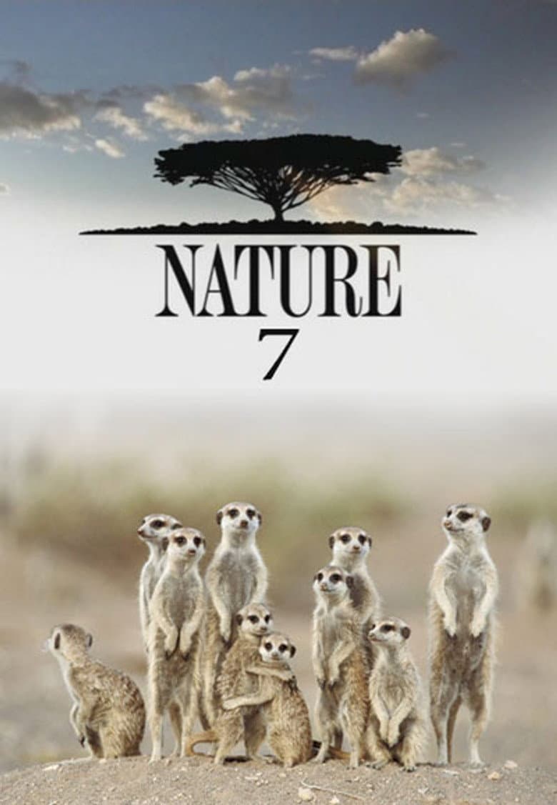 Temporada 7
