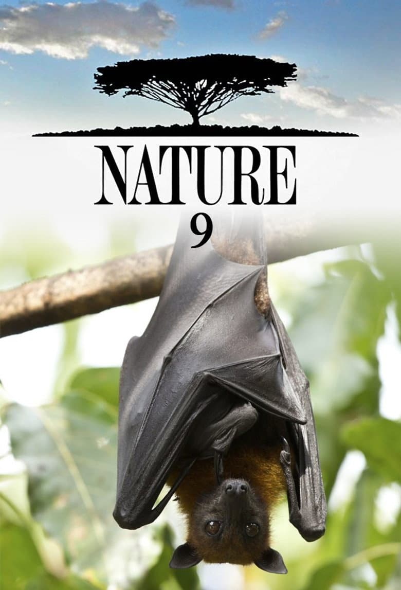 Temporada 9