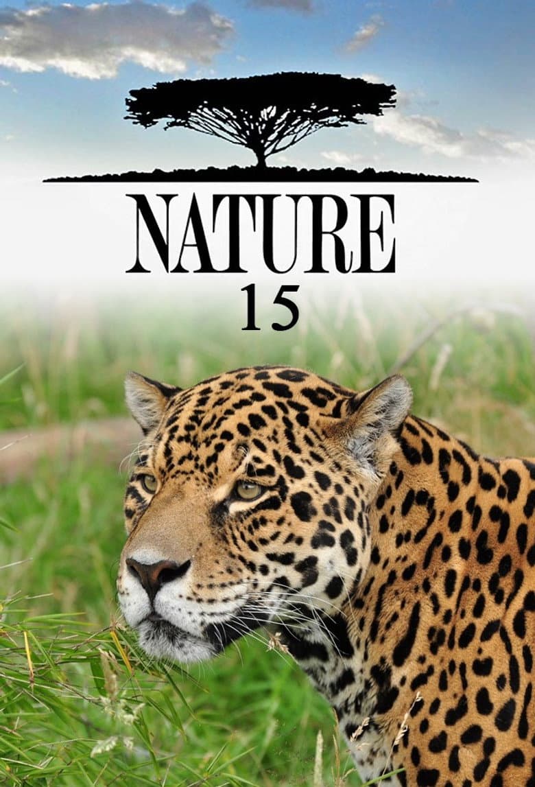 Temporada 15