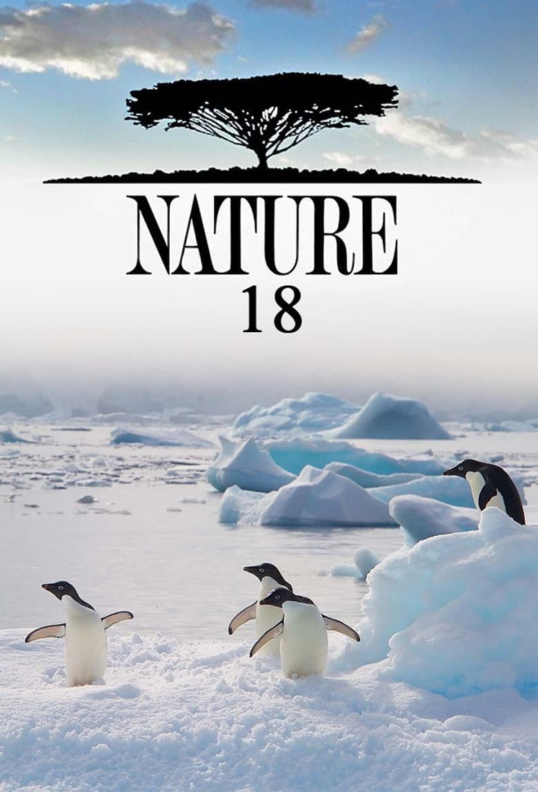 Temporada 18