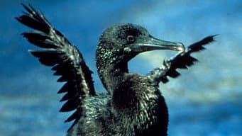 Episódio 12