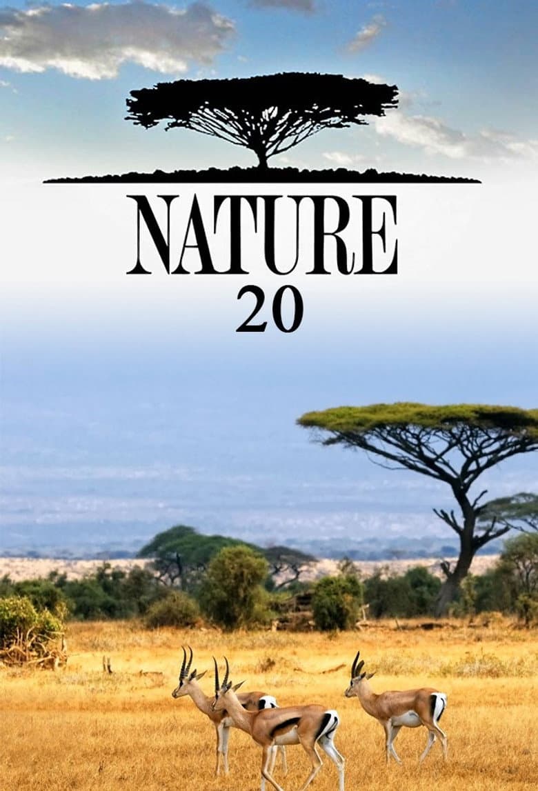 Temporada 20
