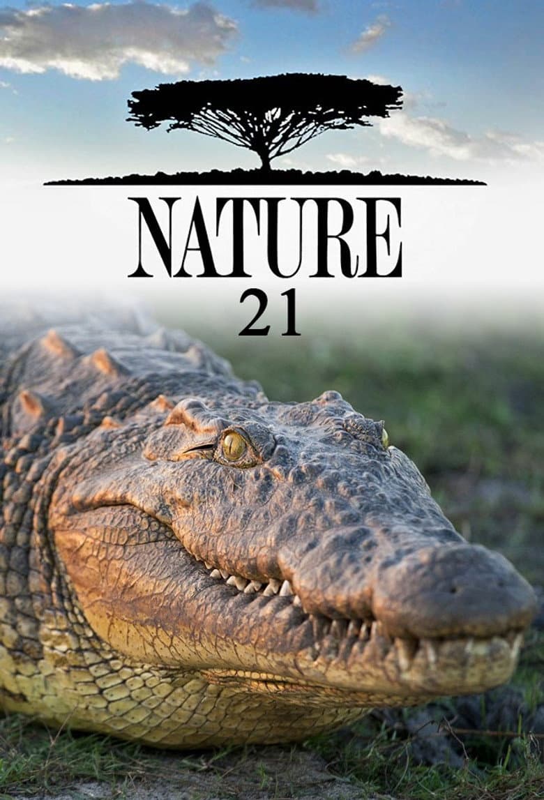 Temporada 21