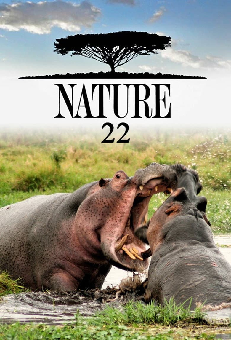 Temporada 22