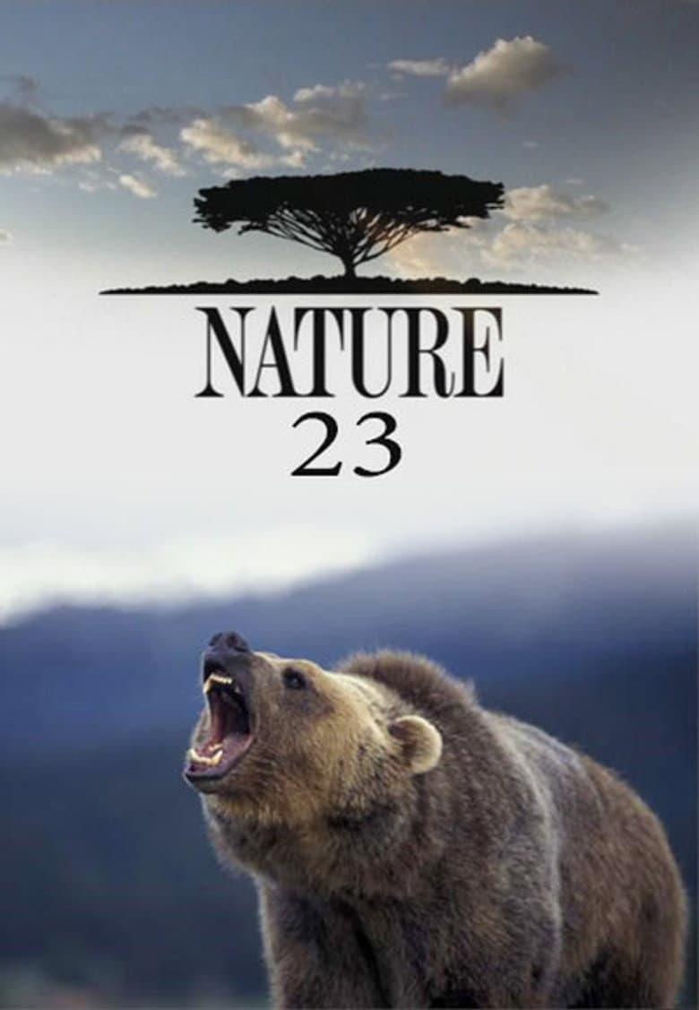 Temporada 23