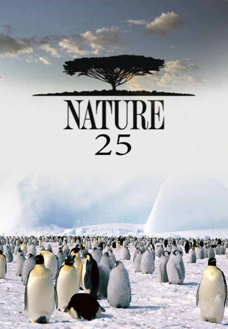 Temporada 25