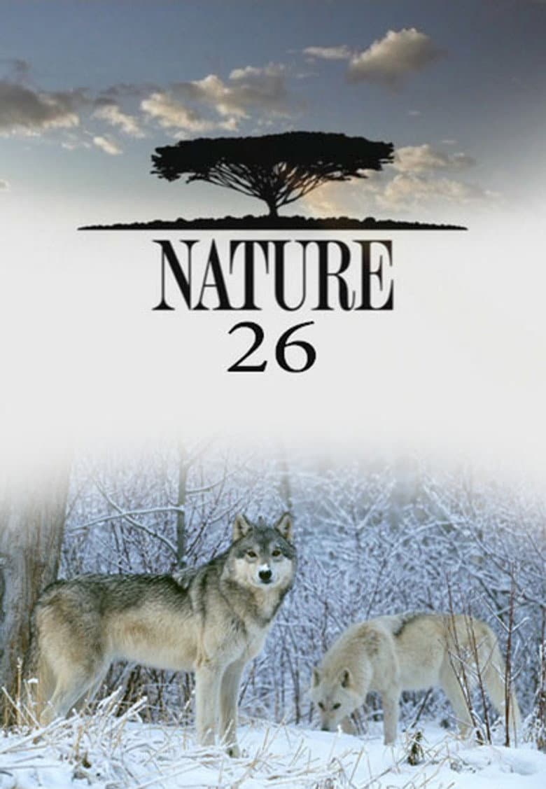 Temporada 26