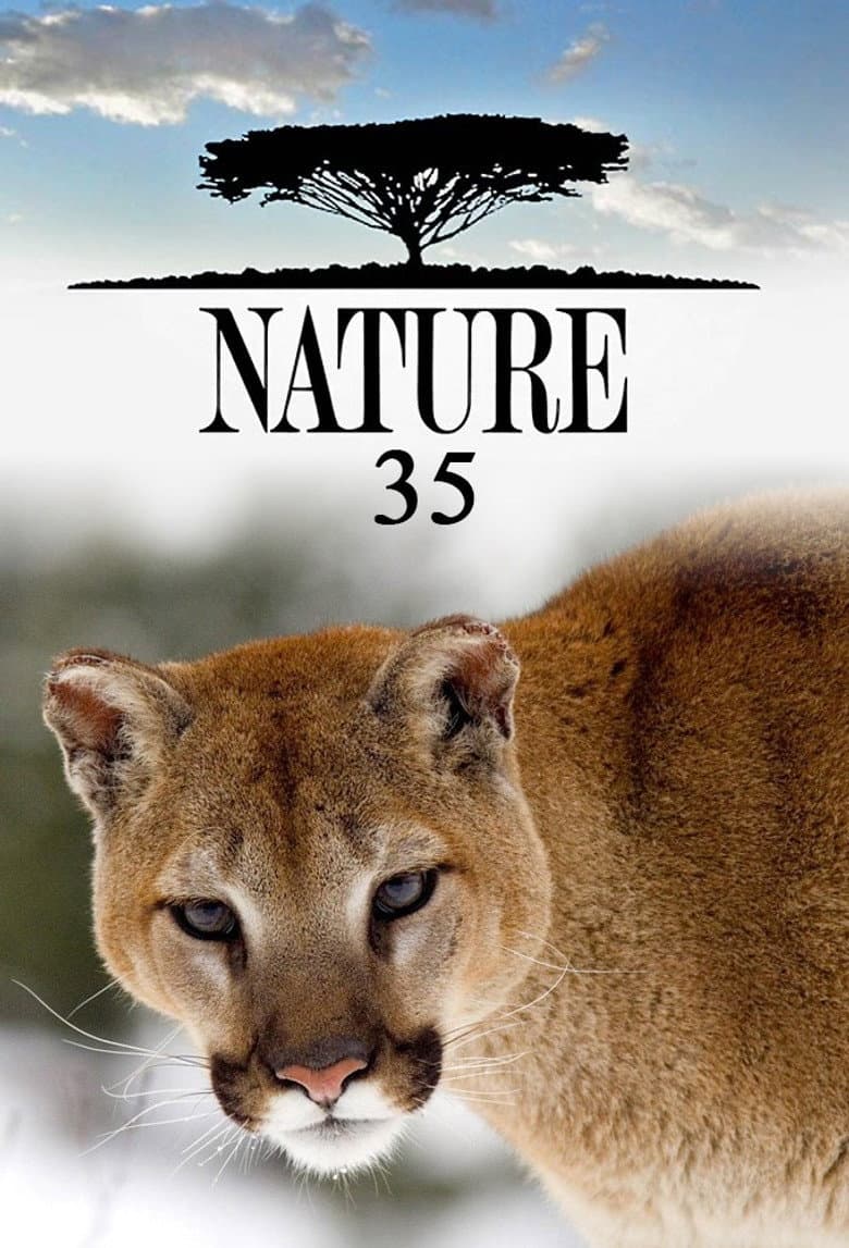 Temporada 35