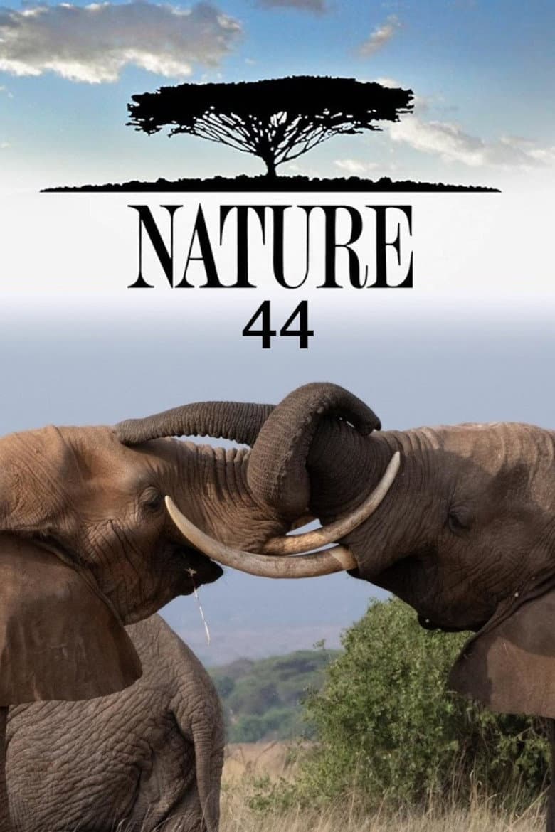 Temporada 44