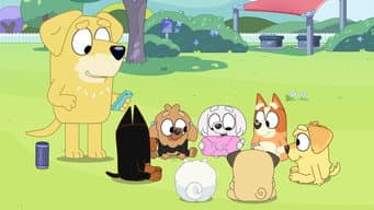 Episódio 14